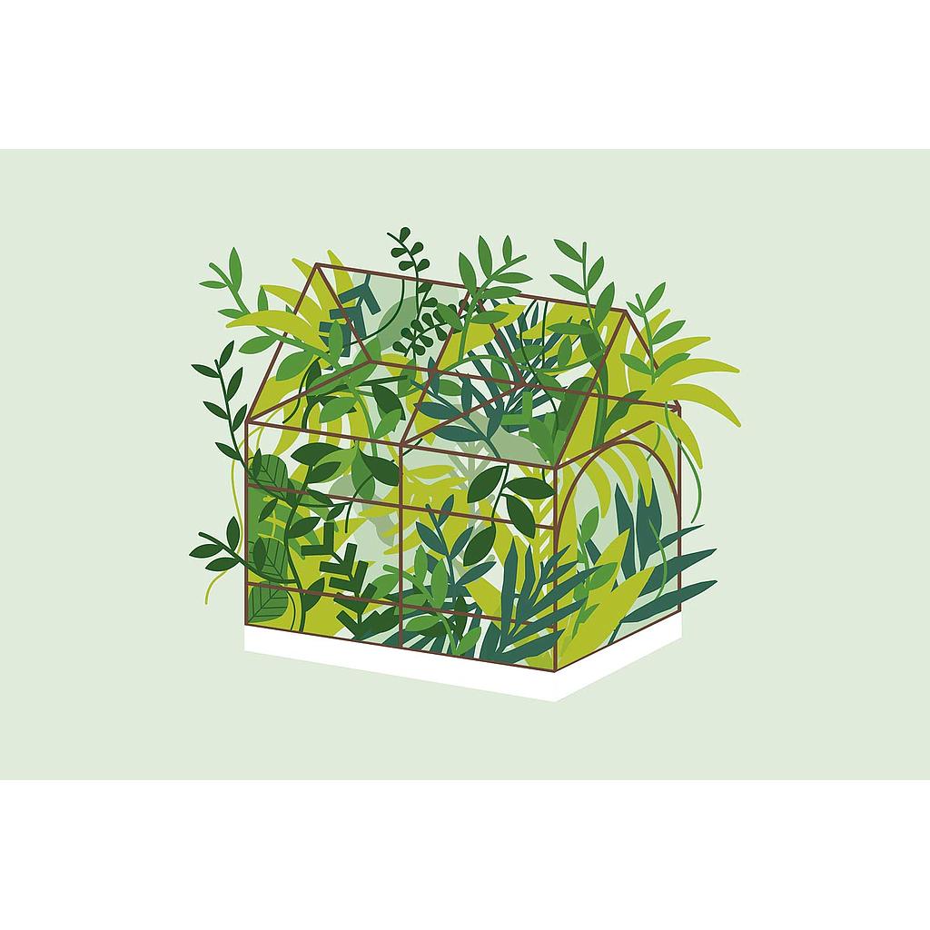 Greenhouse (L)
