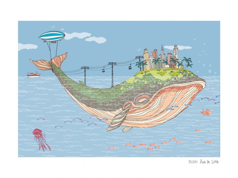 Ballena dormida (M)