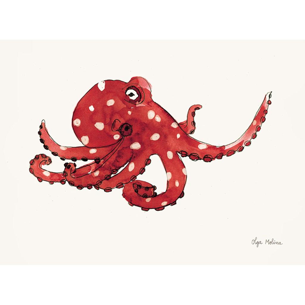 Pulpo rojo