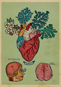 Corazón florío (M)