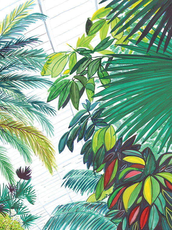 Palmtrees and leaves