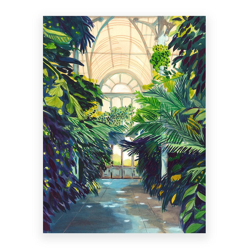 Kew Garden, Glasshouse