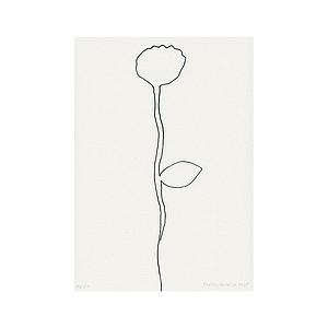 Dibujo de flor