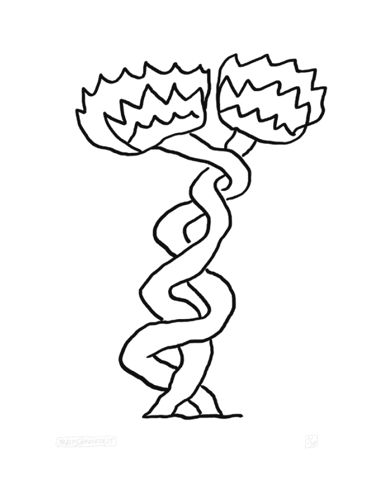 Two powerful flowers