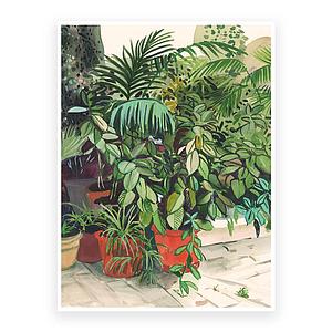 Ficus and palmtrees on the patio