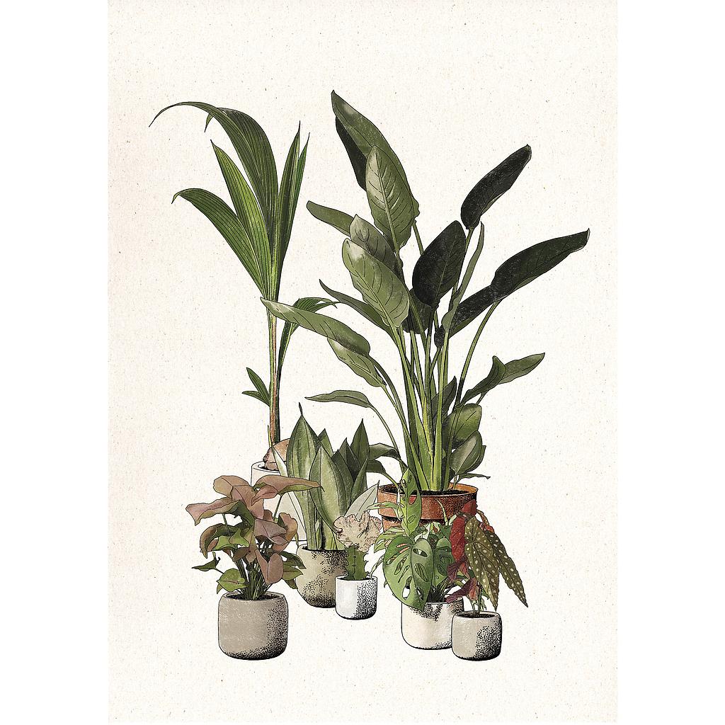 Green Companions (XS)