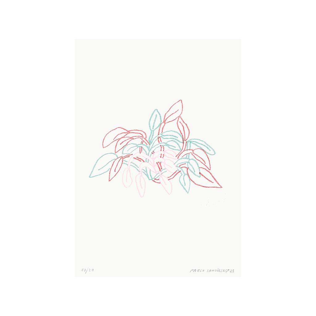 Planta Tres Colores