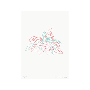 Planta Tres Colores