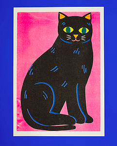 Black Cat